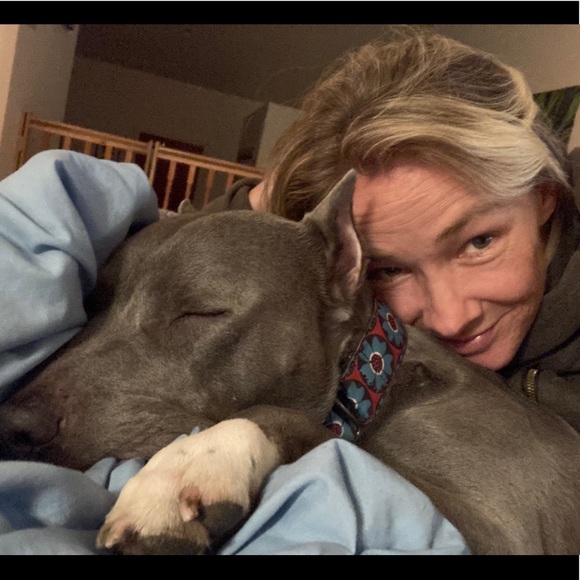 Meet your Posher, Bridget - Picture 1 of 1